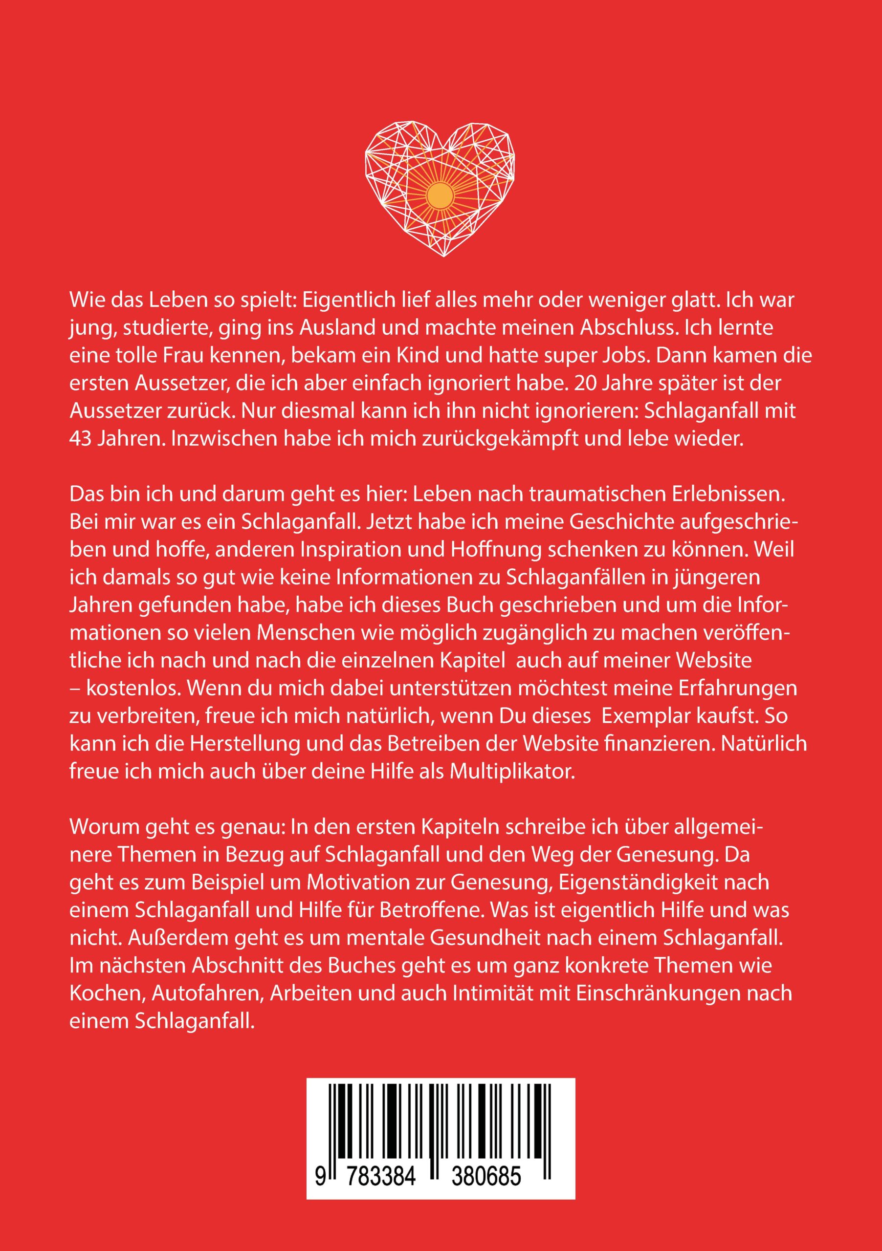 rückseite buch coverschalaganfall lost.in.life.